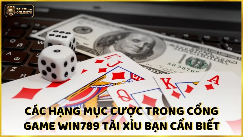 Các hạng mục cược trong cổng game win789 tài xỉu mà bạn cần biết