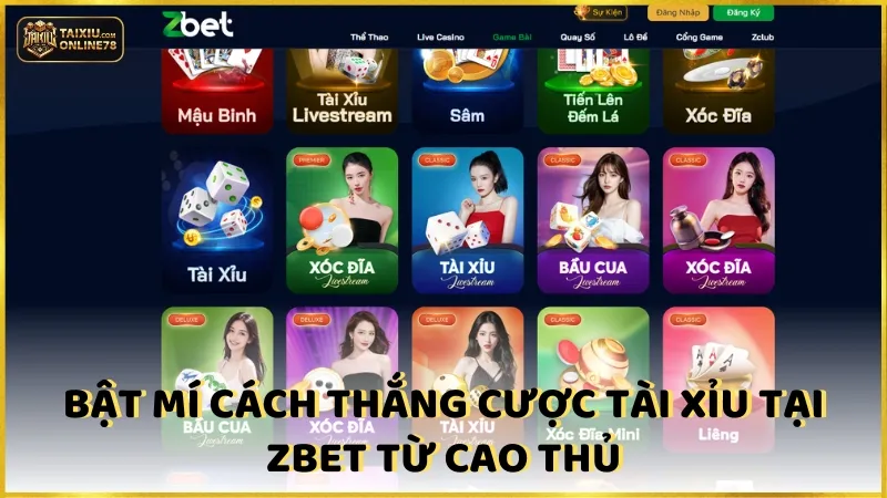Bật Mí Cách Thắng Cược Tài Xỉu Tại ZBet Từ Cao Thủ
